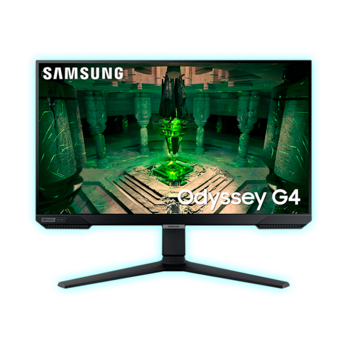 MON.25 SAMSUNG LS25BG402ENXGO 20248
